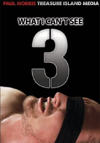 WHAT I CAN'T SEE 3